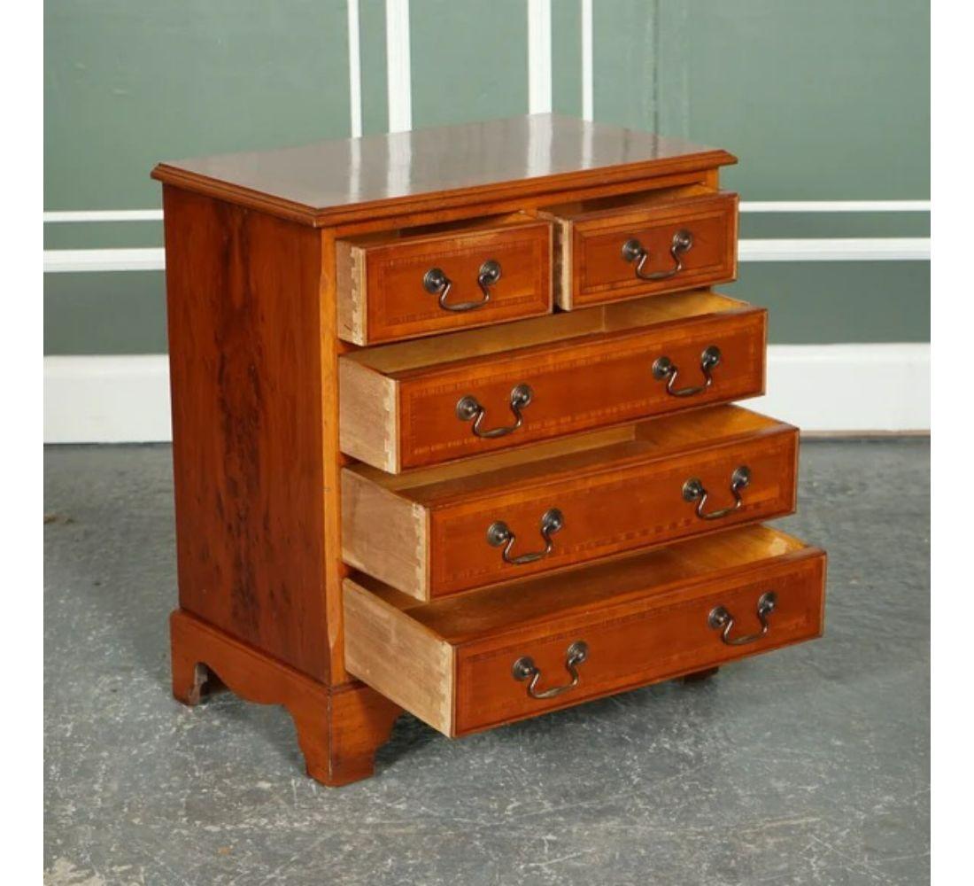 British Lovely Yew Wood Georgian Style Chest of Drawers Brass Handles For Sale