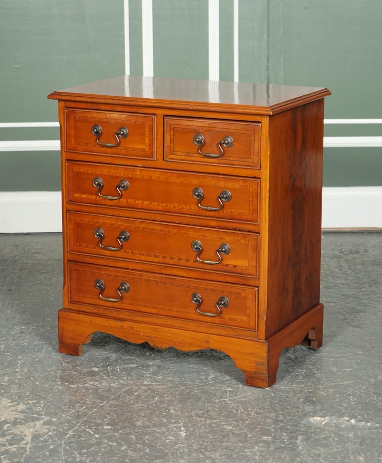 Lovely Yew Wood Style Chest of Drawers Brass Handles For Sale