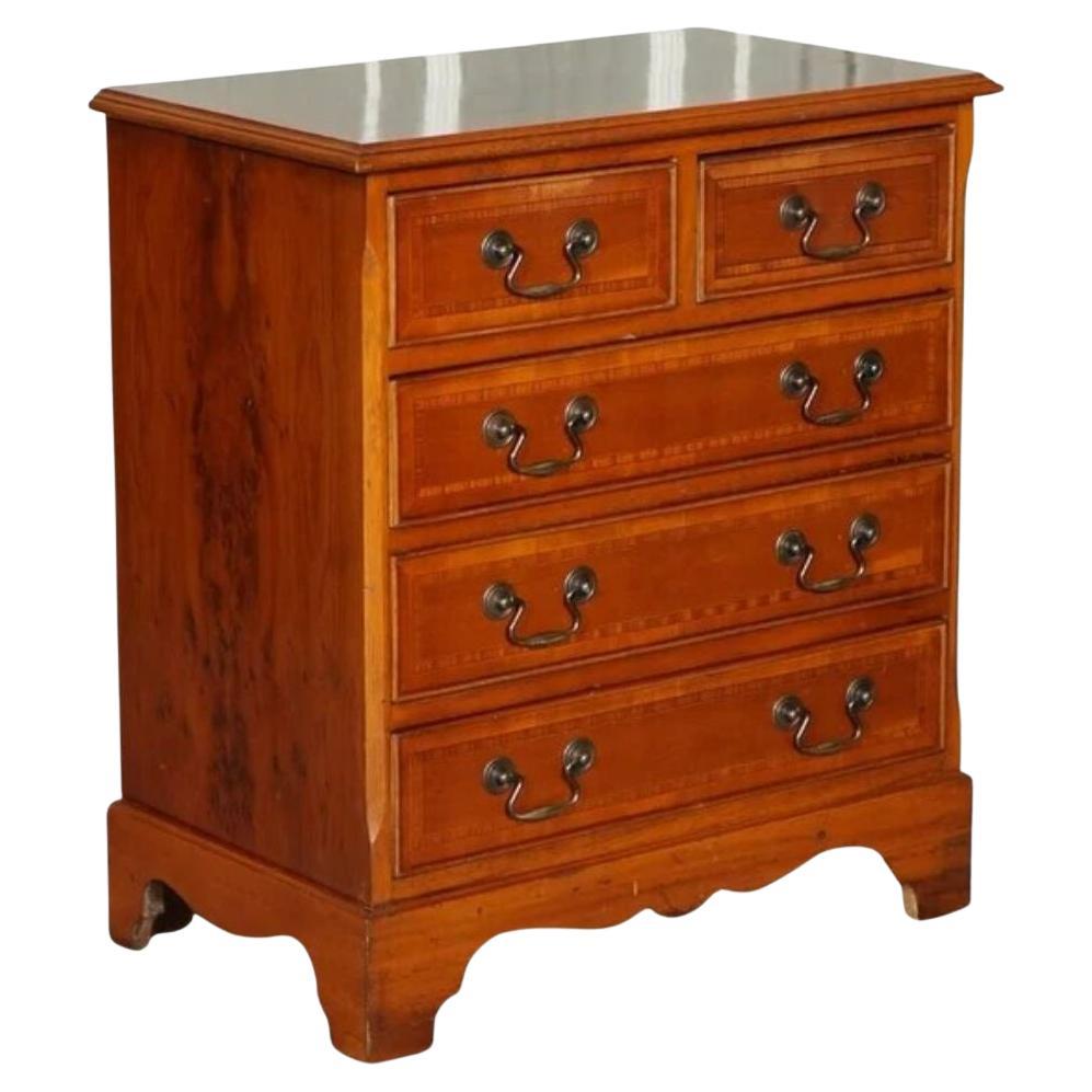 Lovely Yew Wood Georgian Style Chest of Drawers Brass Handles For Sale