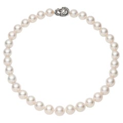 Collare di coccodrillo con perle dei mari del sud in oro bianco 18 ct.