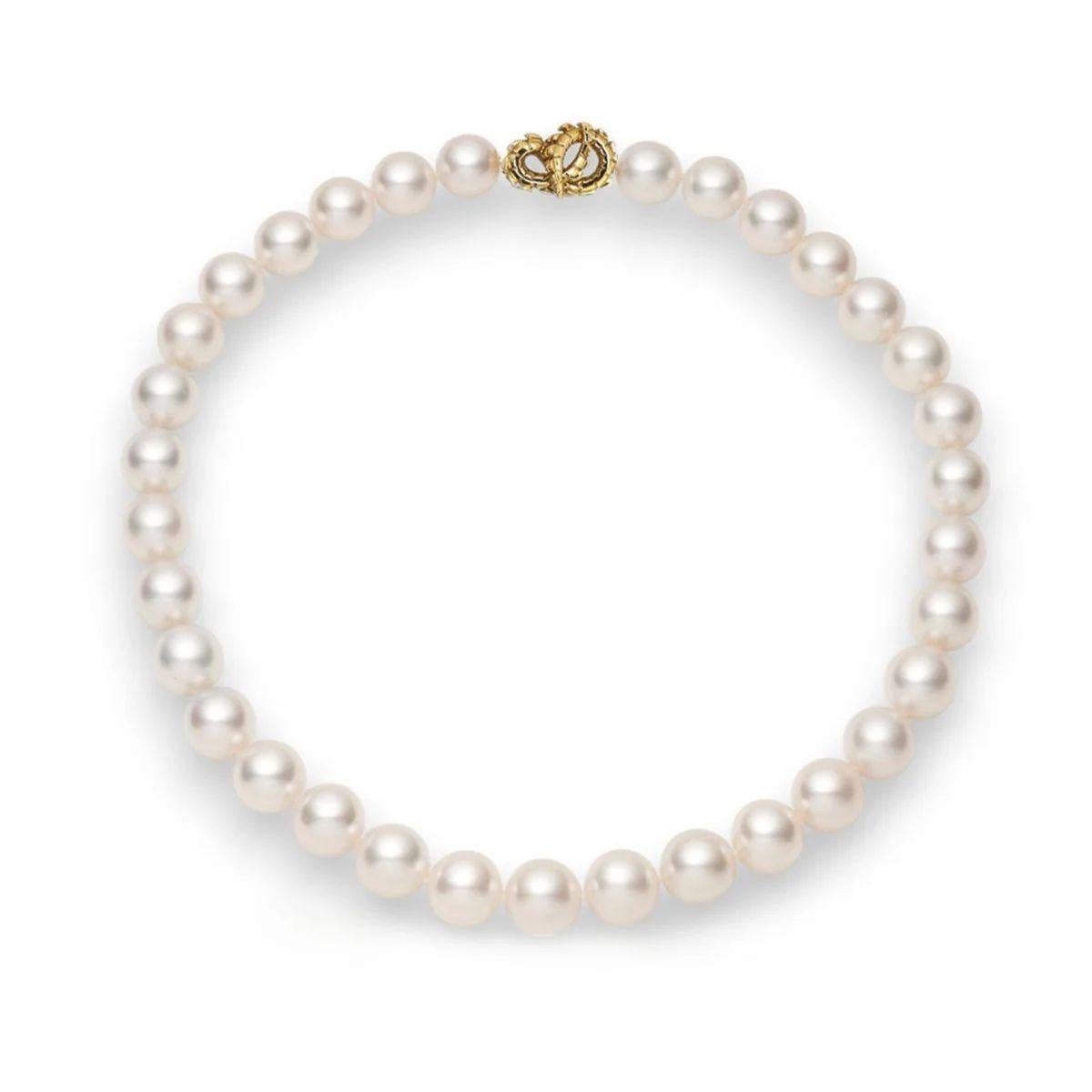 The ultimate symbol of sophistication with a fresh edge. Otherworldly South Sea Pearls are juxtaposed with the fierce croc in this iconic collar necklace. 

•	Australian Blue South Sea Pearls 9-10mm

•	40cm strand

•	Hand knotted with silk between