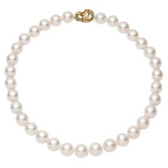Lover’s Croc Pearl Collar with South Sea Pearls in 18ct Yellow Gold
