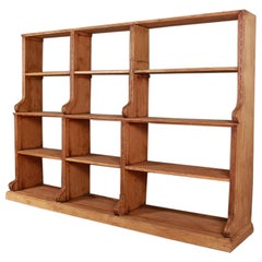 Antique Low Bookcase/ Shop Fitting