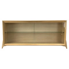 Low Mid-Century Bookcase or Display Case With Sliding Glass Doors