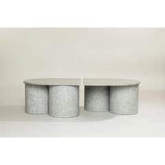 Low Twins Coffee Table by Pietro Franceschini