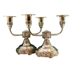 Low two-light candelabra with raised circular bases and wood filling