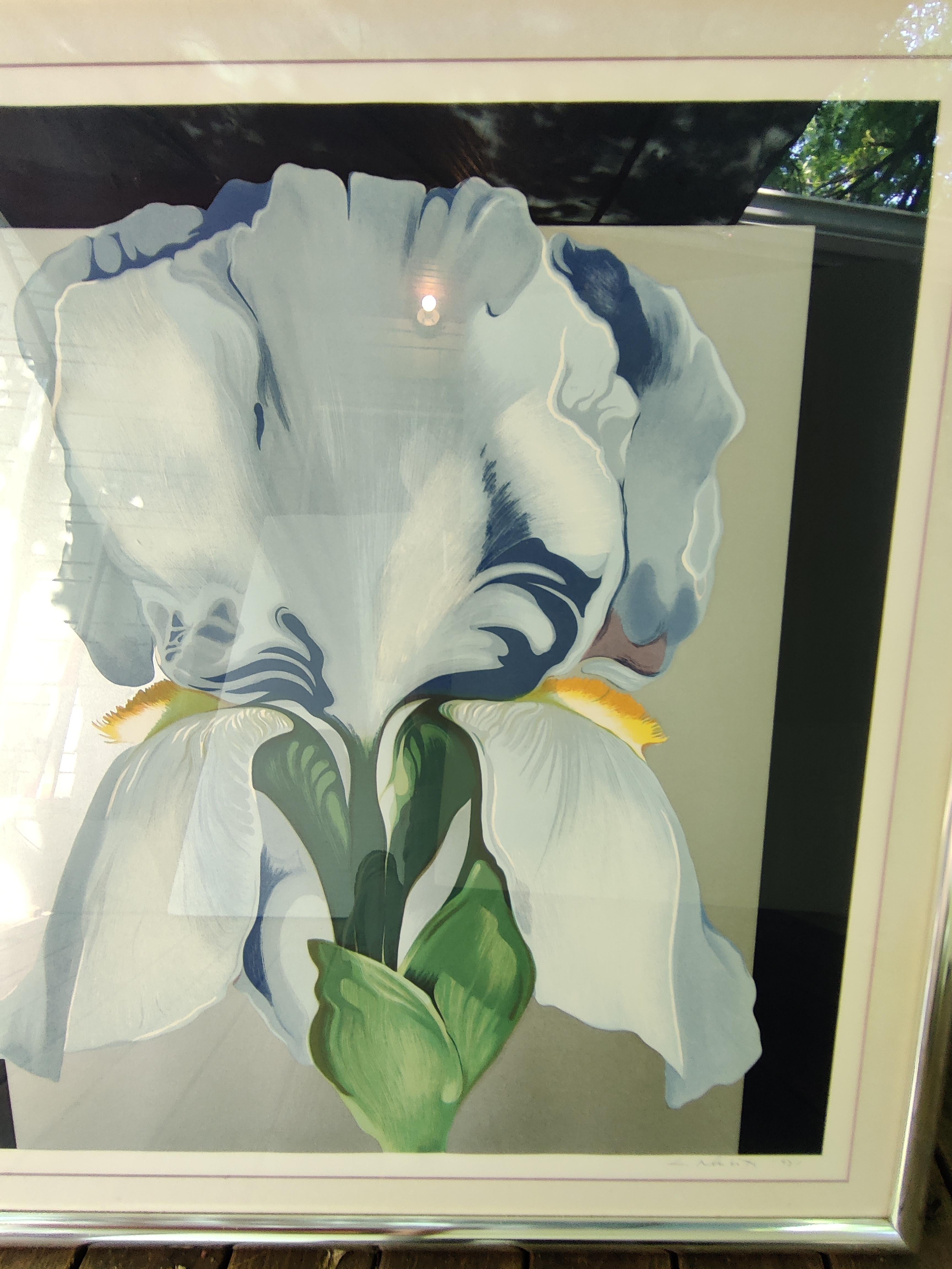 Lowell Nesbitt 1980's Oriental Iris Print Signed and Numbered For Sale 6