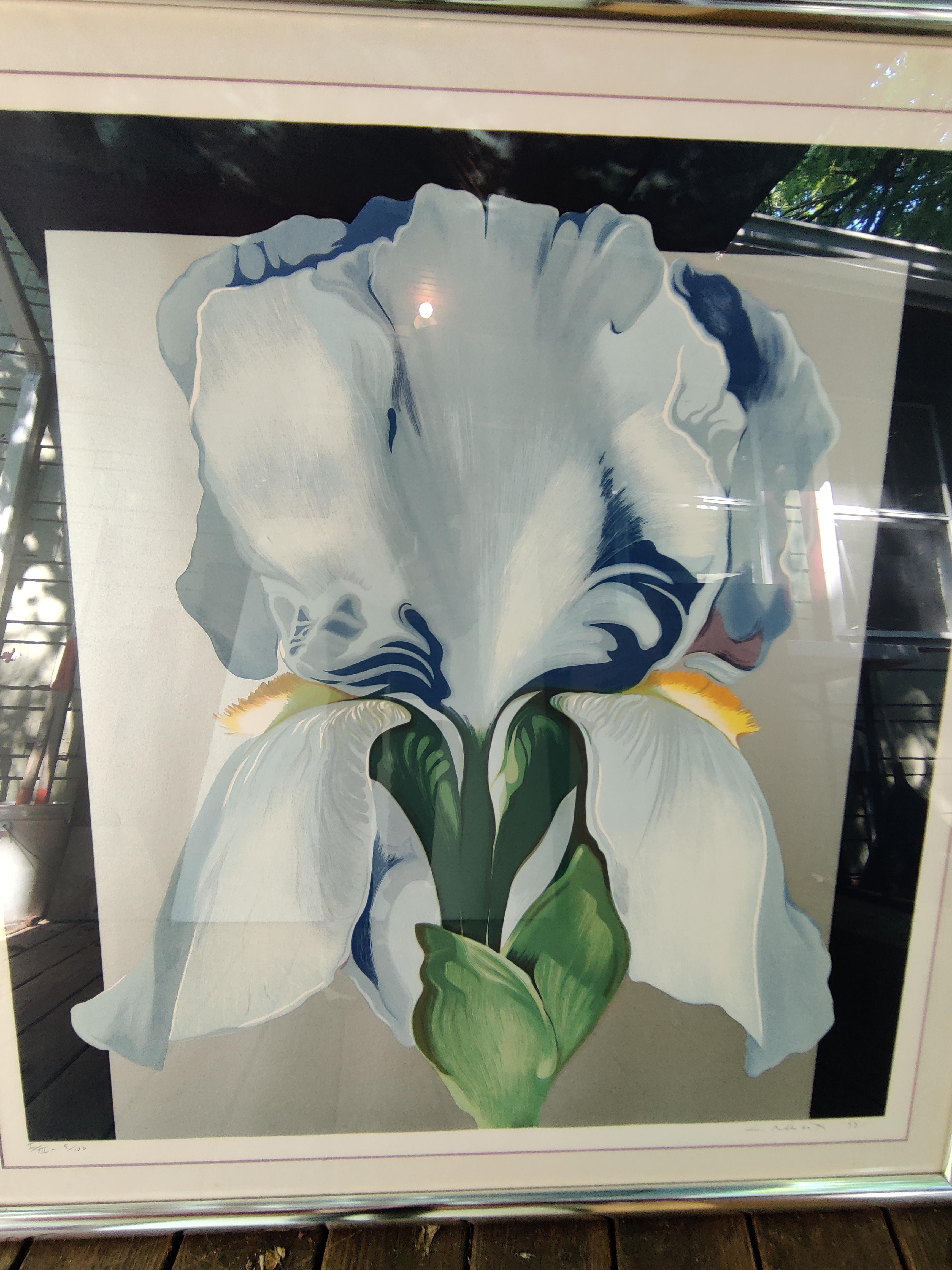 American Lowell Nesbitt 1980's Oriental Iris Print Signed and Numbered For Sale