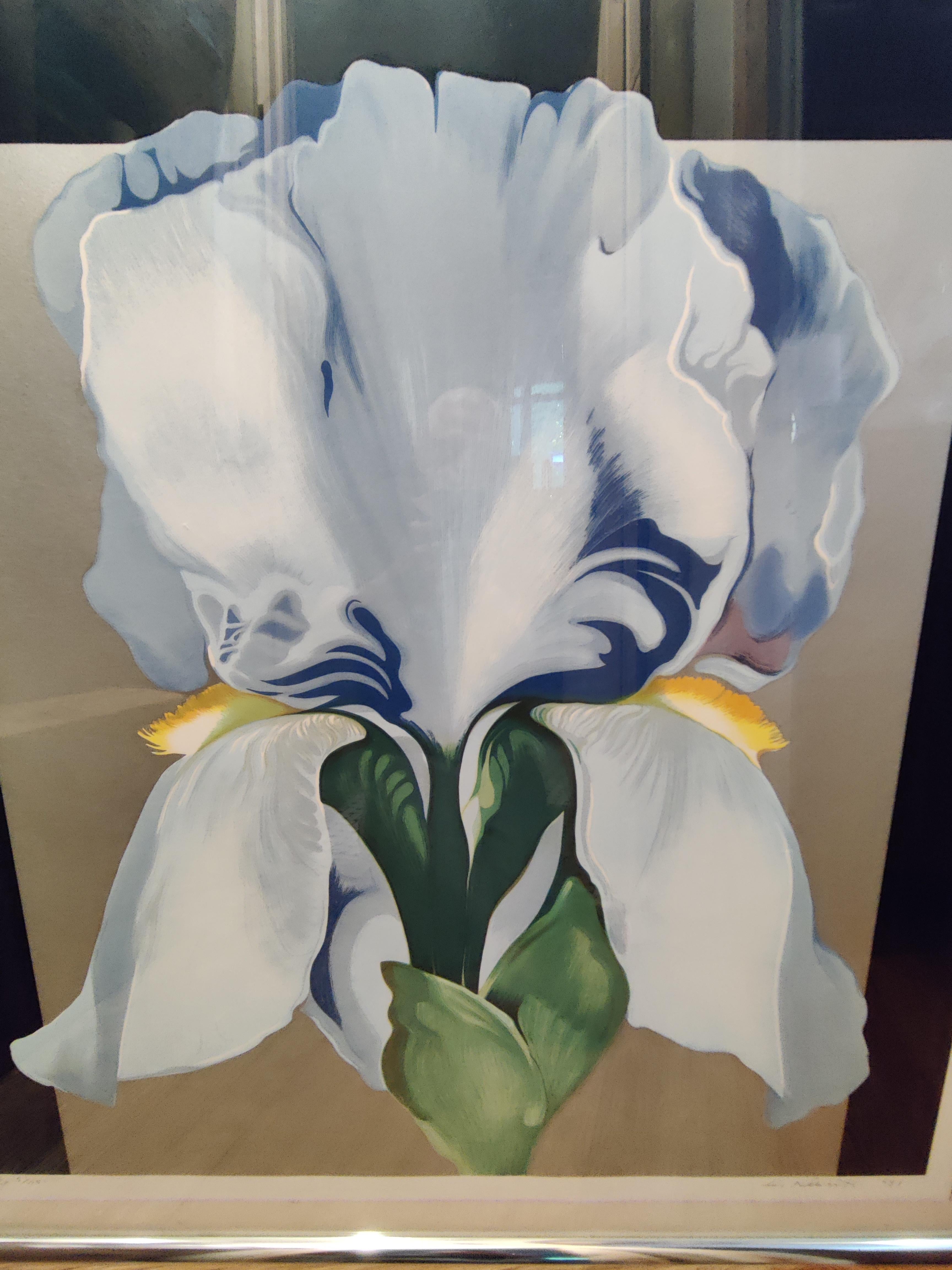 20th Century Lowell Nesbitt 1980's Oriental Iris Print Signed and Numbered For Sale