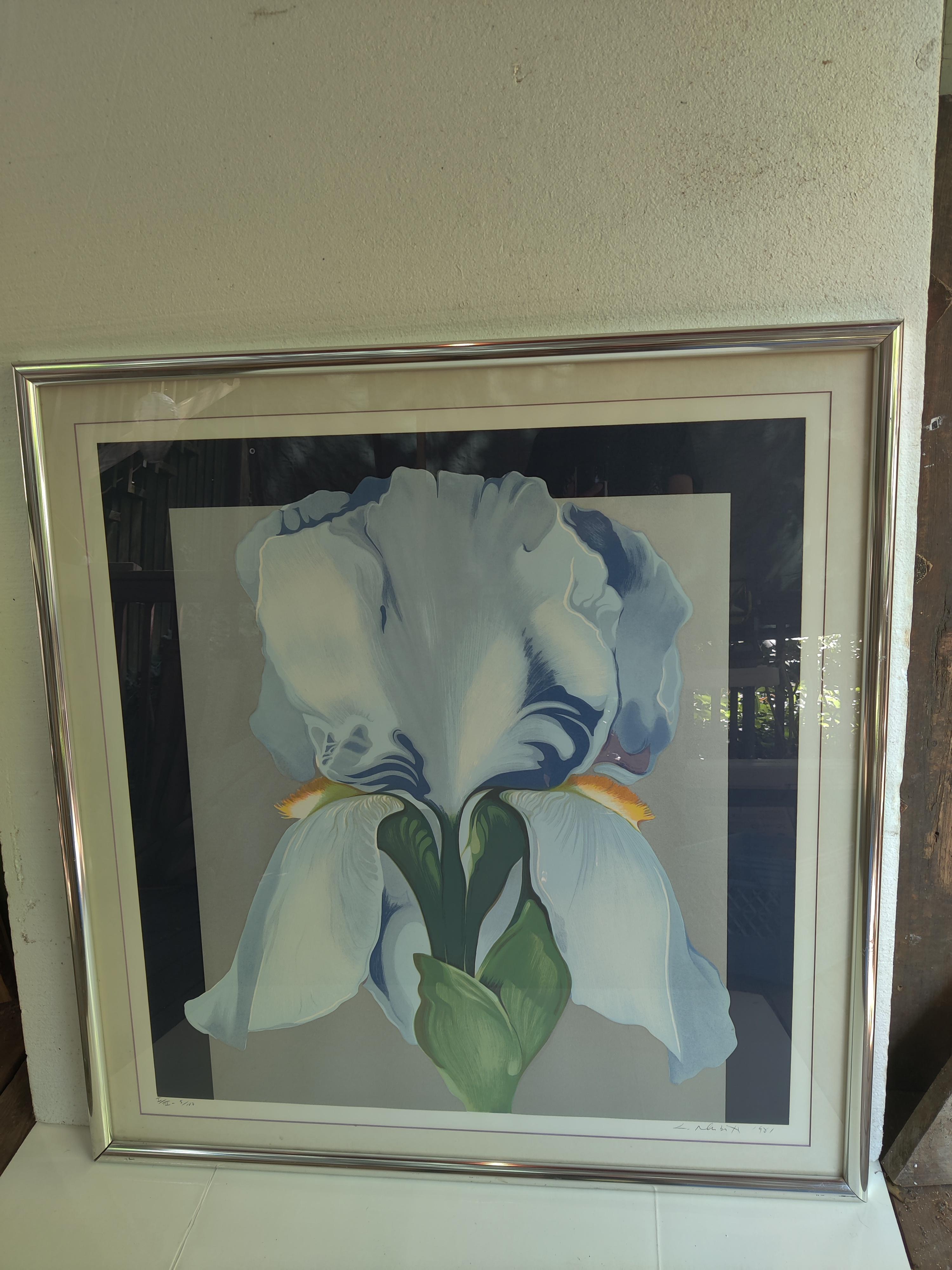 Lowell Nesbitt 1980's Oriental Iris Print Signed and Numbered For Sale 1