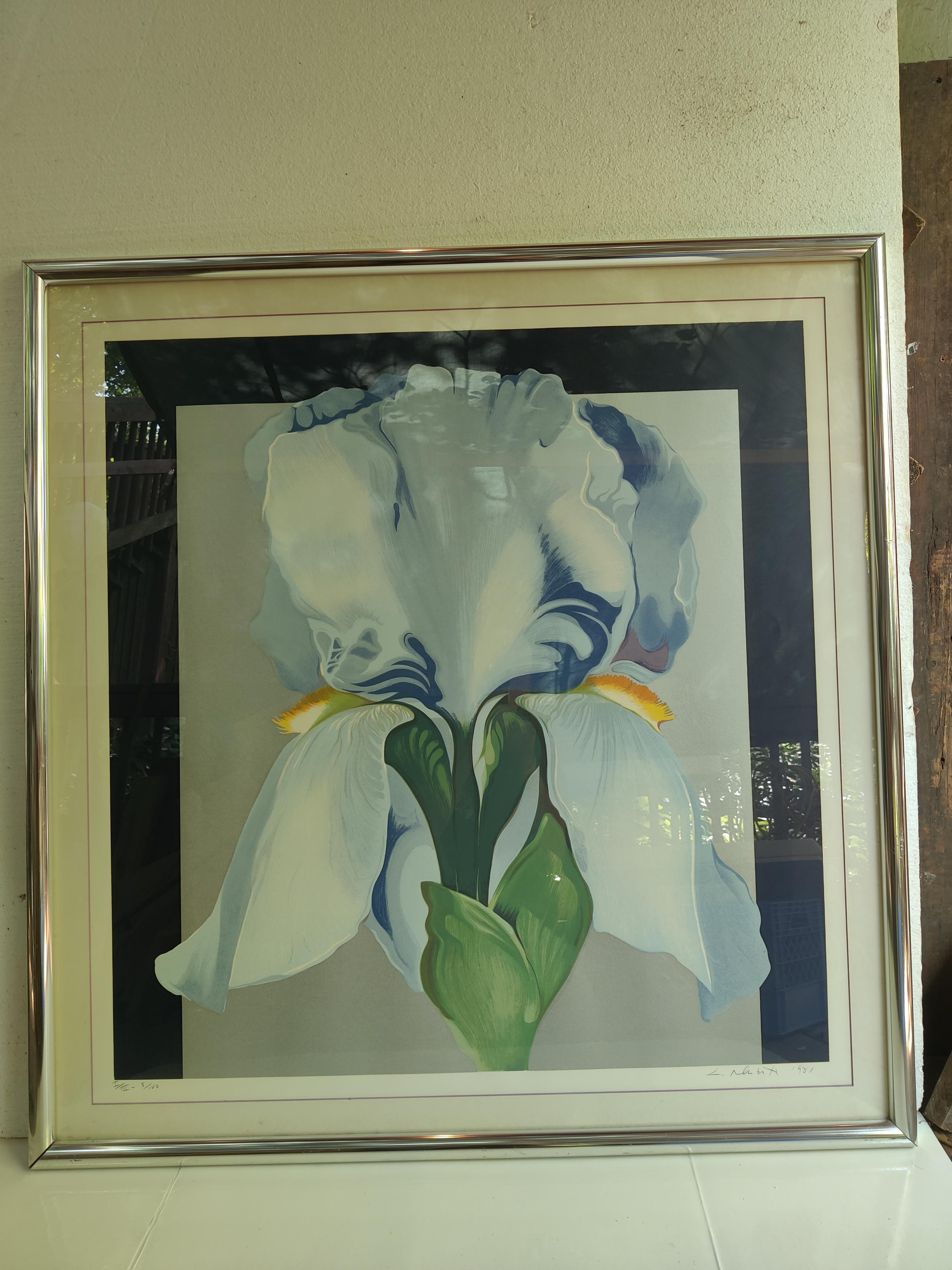 Lowell Nesbitt 1980's Oriental Iris Print Signed and Numbered For Sale 2