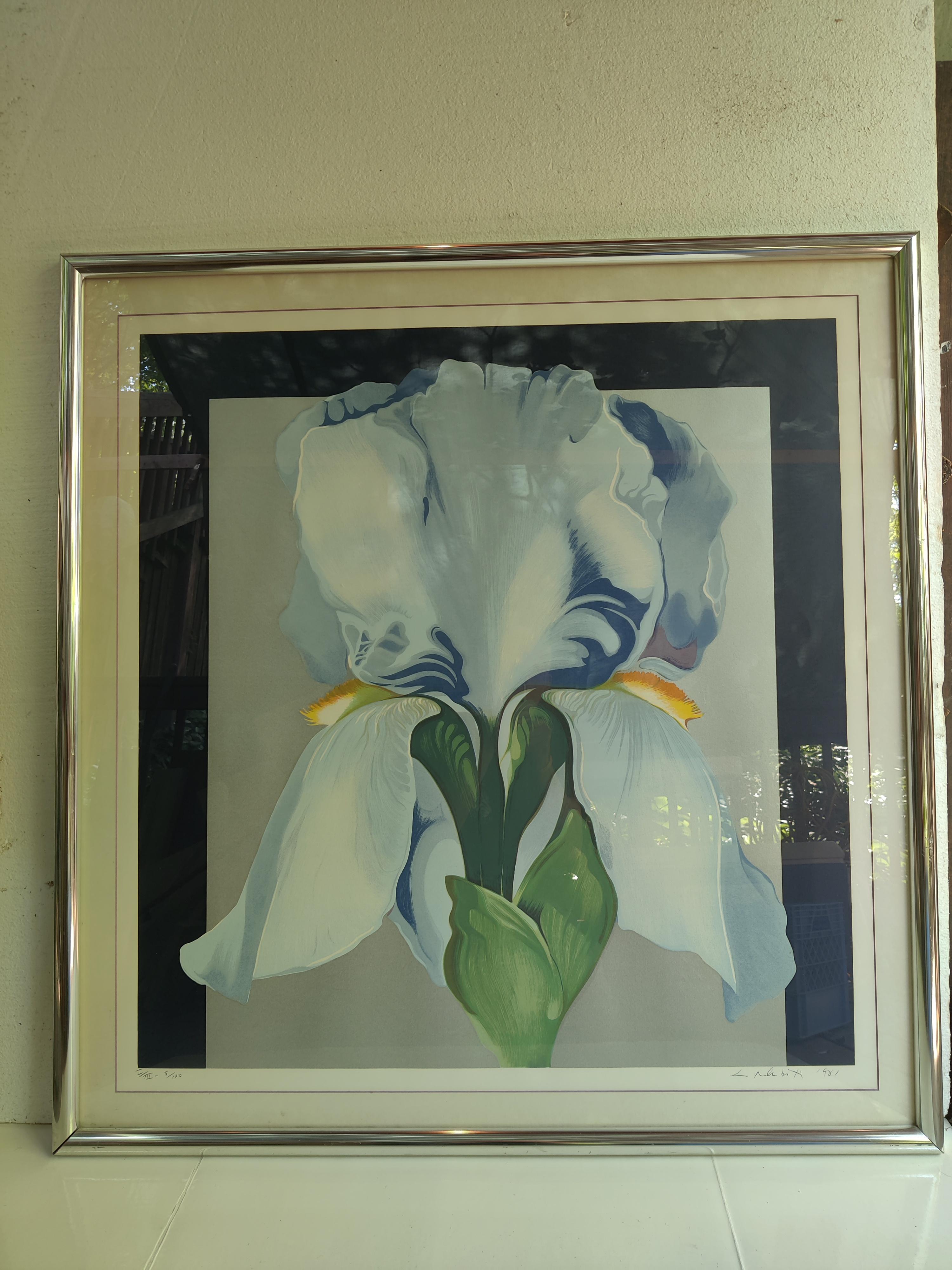 Lowell Nesbitt 1980's Oriental Iris Print Signed and Numbered For Sale 3