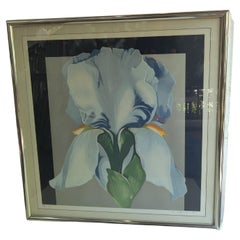 Lowell Nesbitt 1980's Oriental Iris Print Signed and Numbered