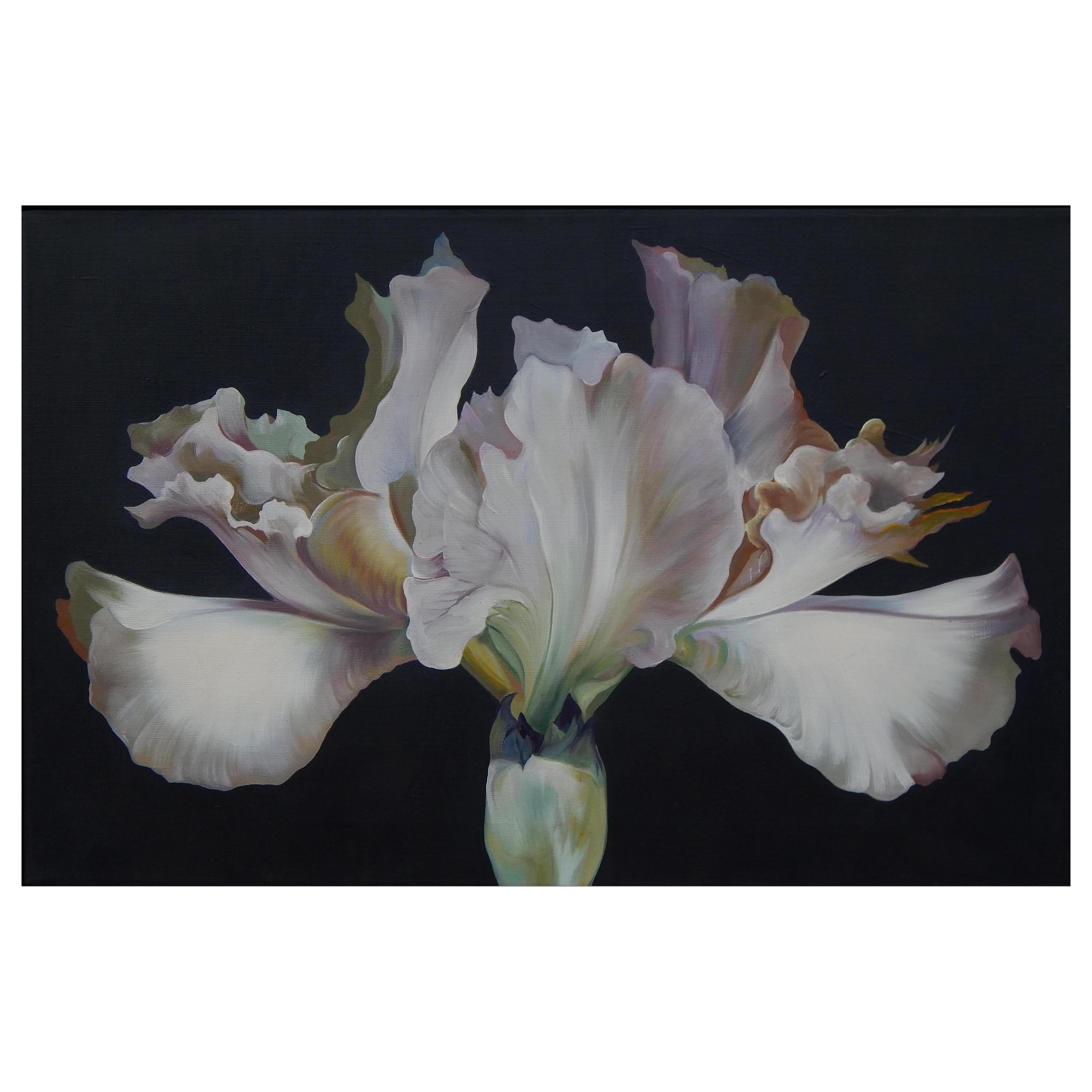 Lowell Nesbitt Oil Painting, Iris on Dark Grey, 1968 For Sale at 1stDibs john nesbitt millennium image