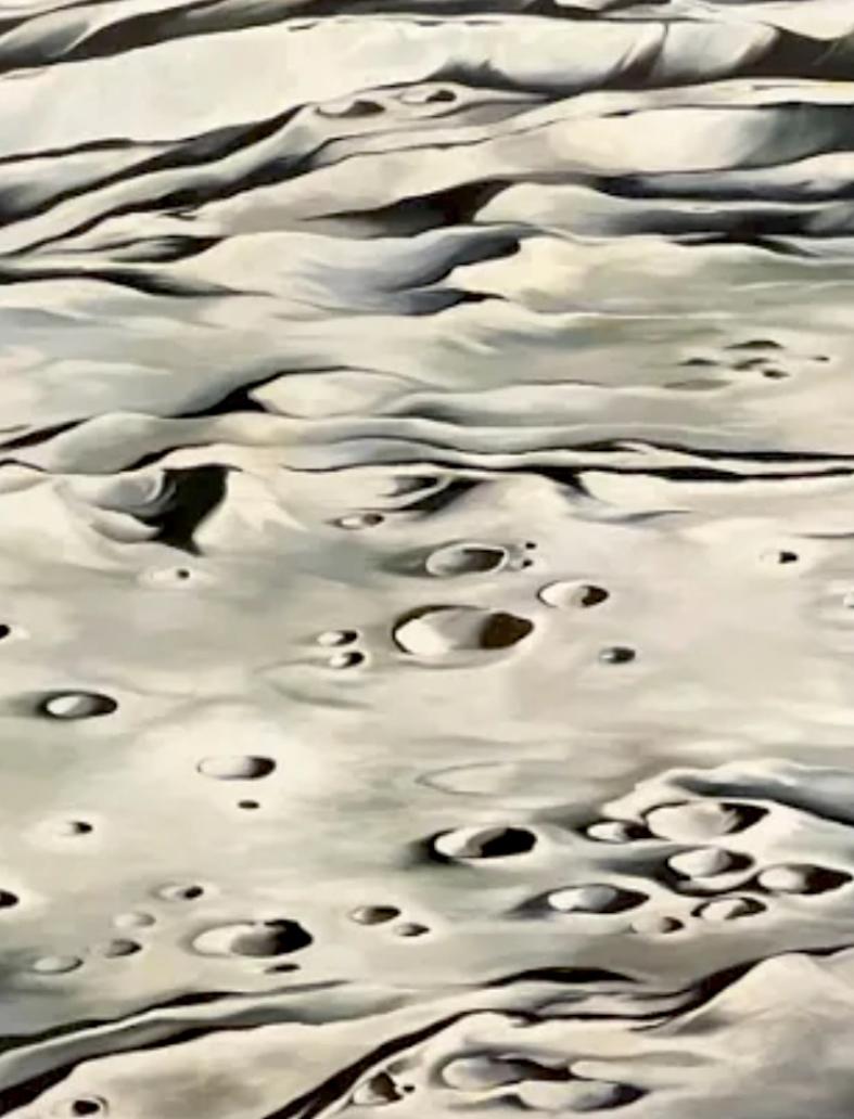 Moon Shot (NASA official commission—74 x 114 inches), Lowell Nesbitt 2