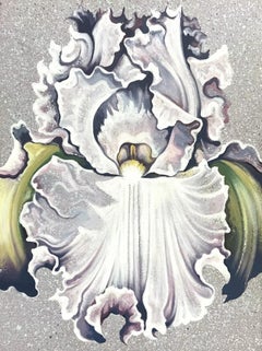 Light Lavender Iris, Lowell Nesbitt