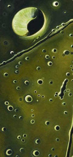 Lowell Nesbitt, Krater Maskelyne (offizieller Auftrag der NASA), 1970