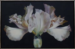 Lowell Nesbitt Oil Painting, Iris on Dark Grey, 1968