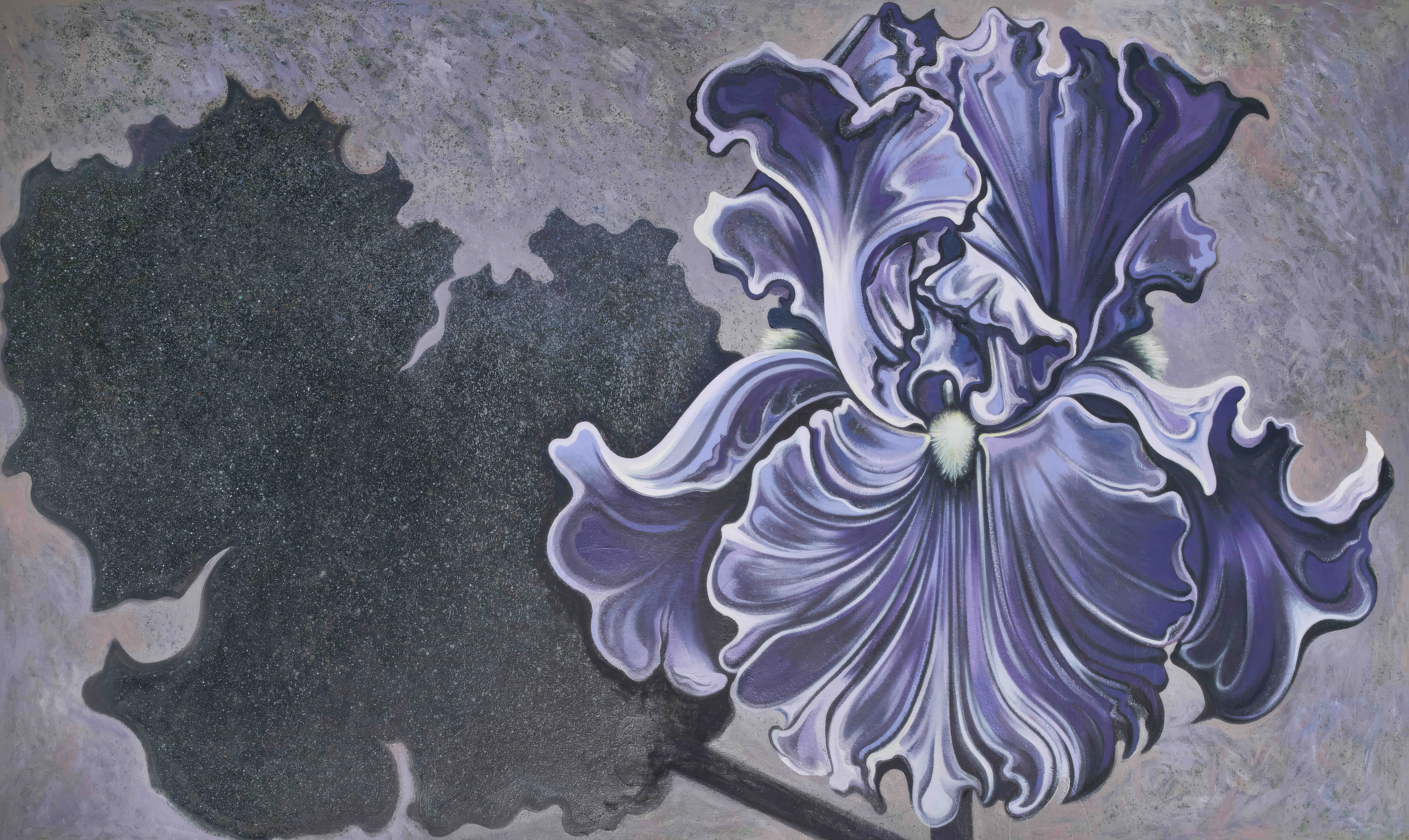 Lowell Nesbitt, Schatten-Iris, 1982