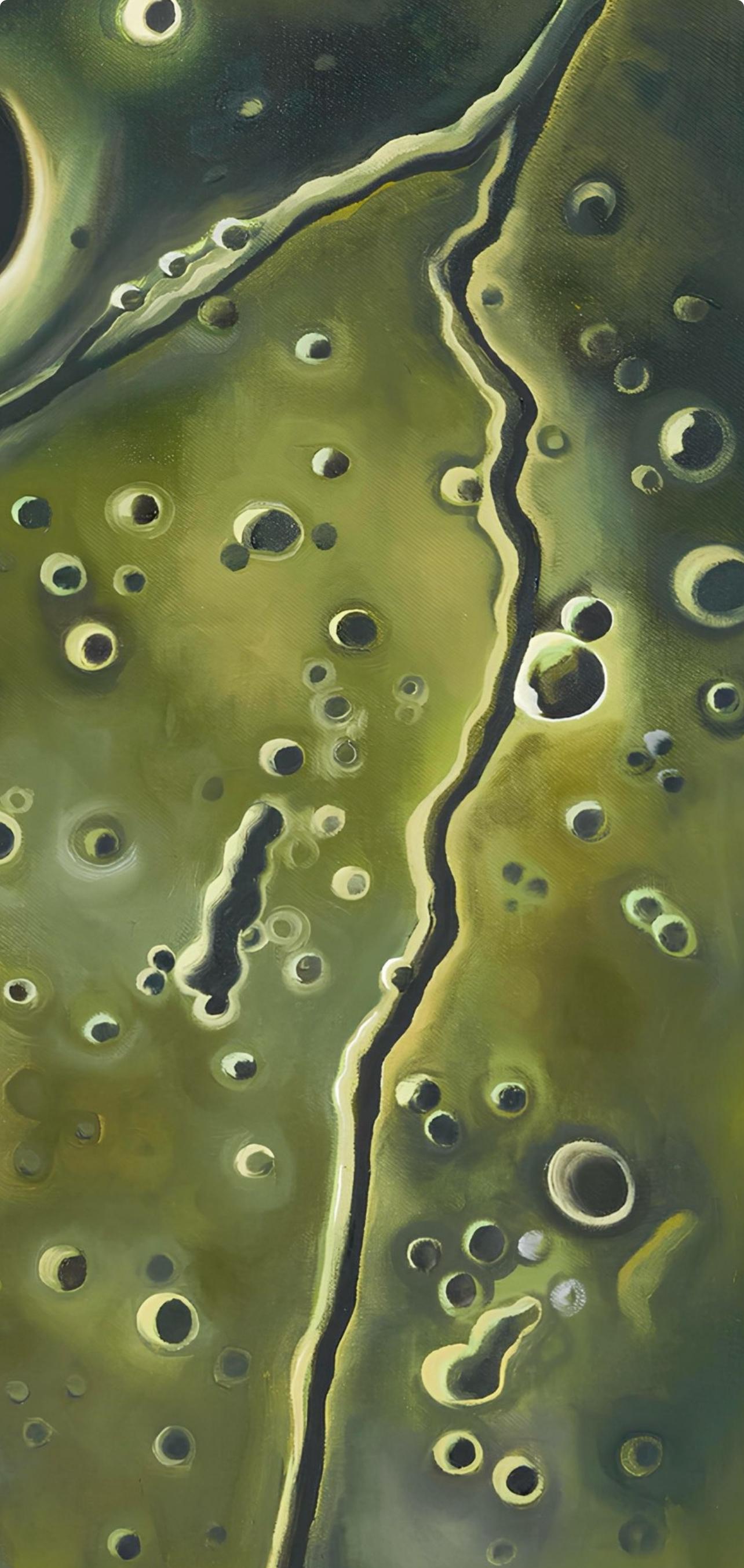 NASA, Missione spaziale Apollo 9, Lowell Nesbitt - Pittura in vendita 2
