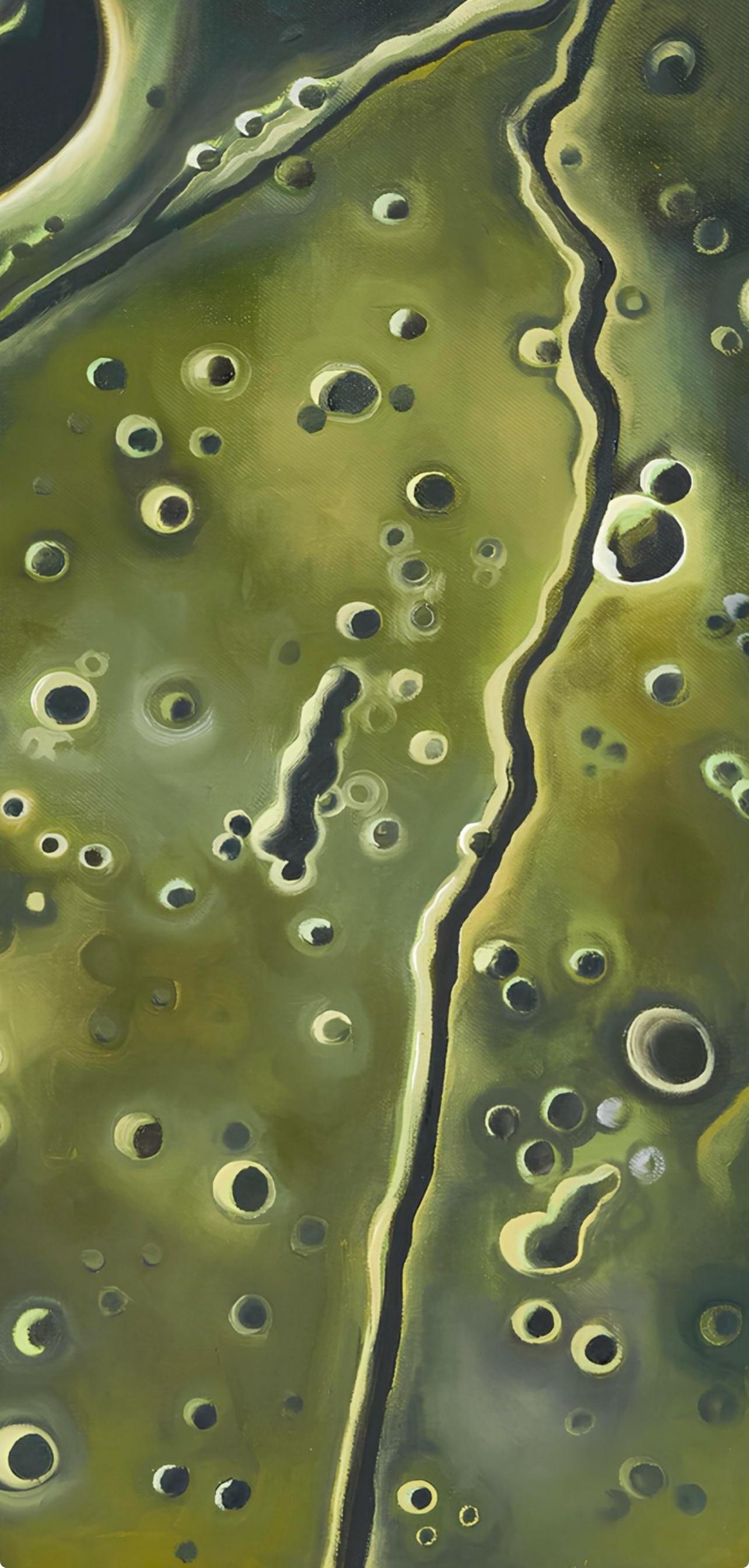 NASA, Missione spaziale Apollo 9, Lowell Nesbitt - Pittura in vendita 3