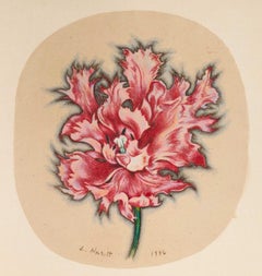 Parrot Tulip, Lowell Nesbitt