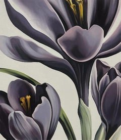 XI Crocus Hyridus Hort