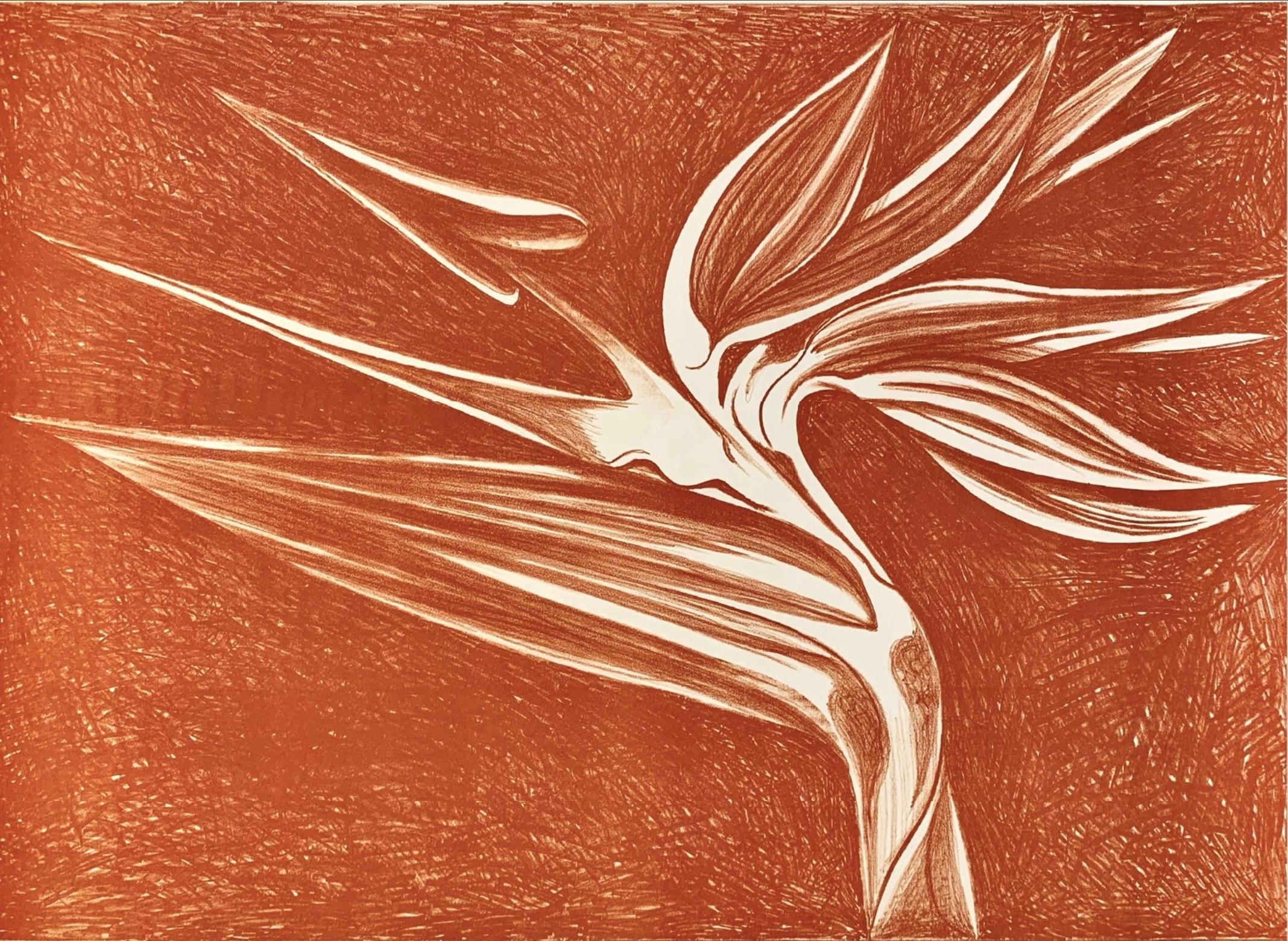 Bird of Paradise (Orange) abstract - Print by Lowell Nesbitt