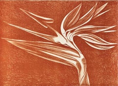Uccello del Paradiso (Arancione) astratto