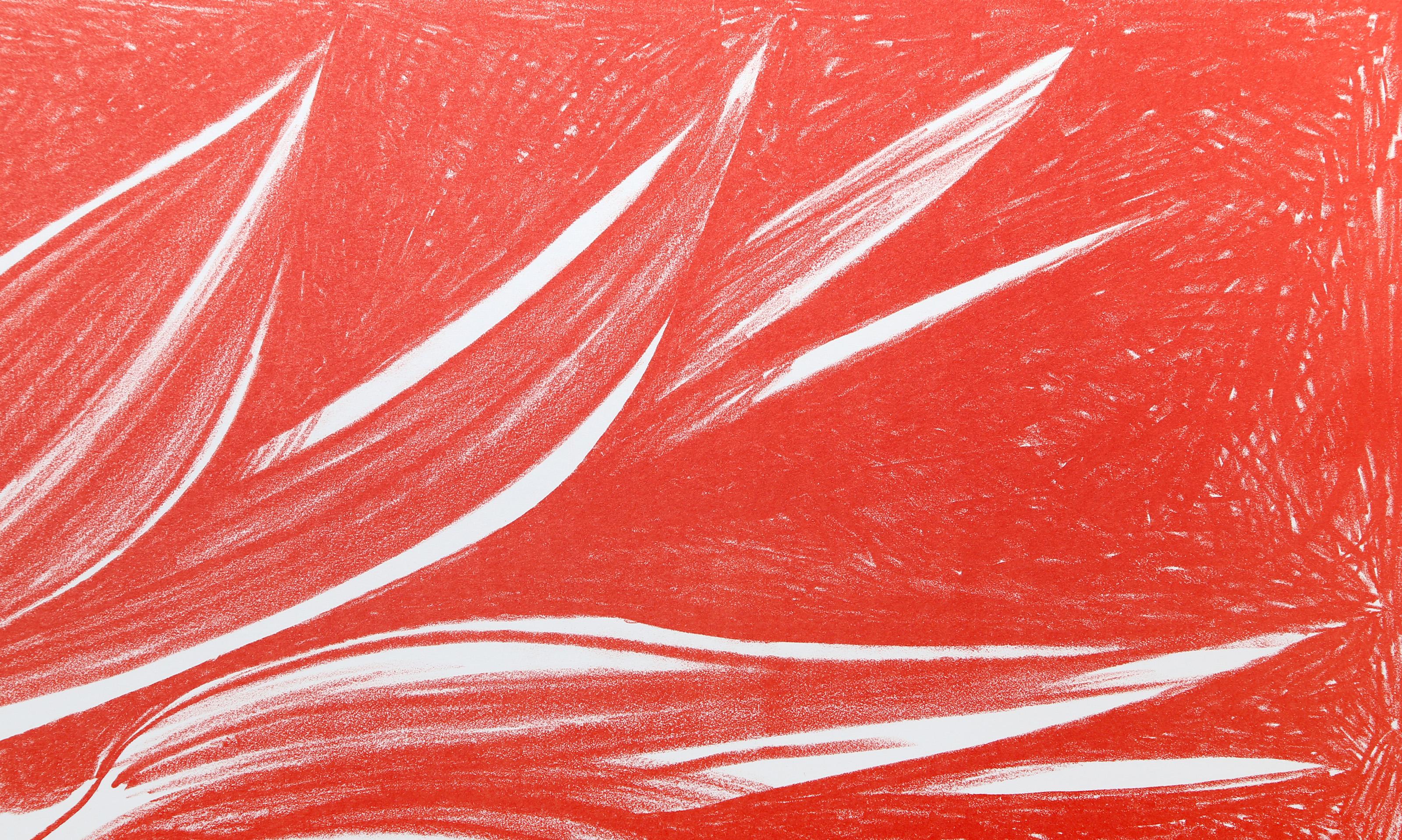 Aves del Paraíso (Rojo), litografía fotorrealista de Lowell Blair Nesbitt - Print de Lowell Nesbitt