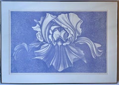 Blue Iris, 1980 Color silkscreen on wove paper, Signed, dated AP 1/8, Framed