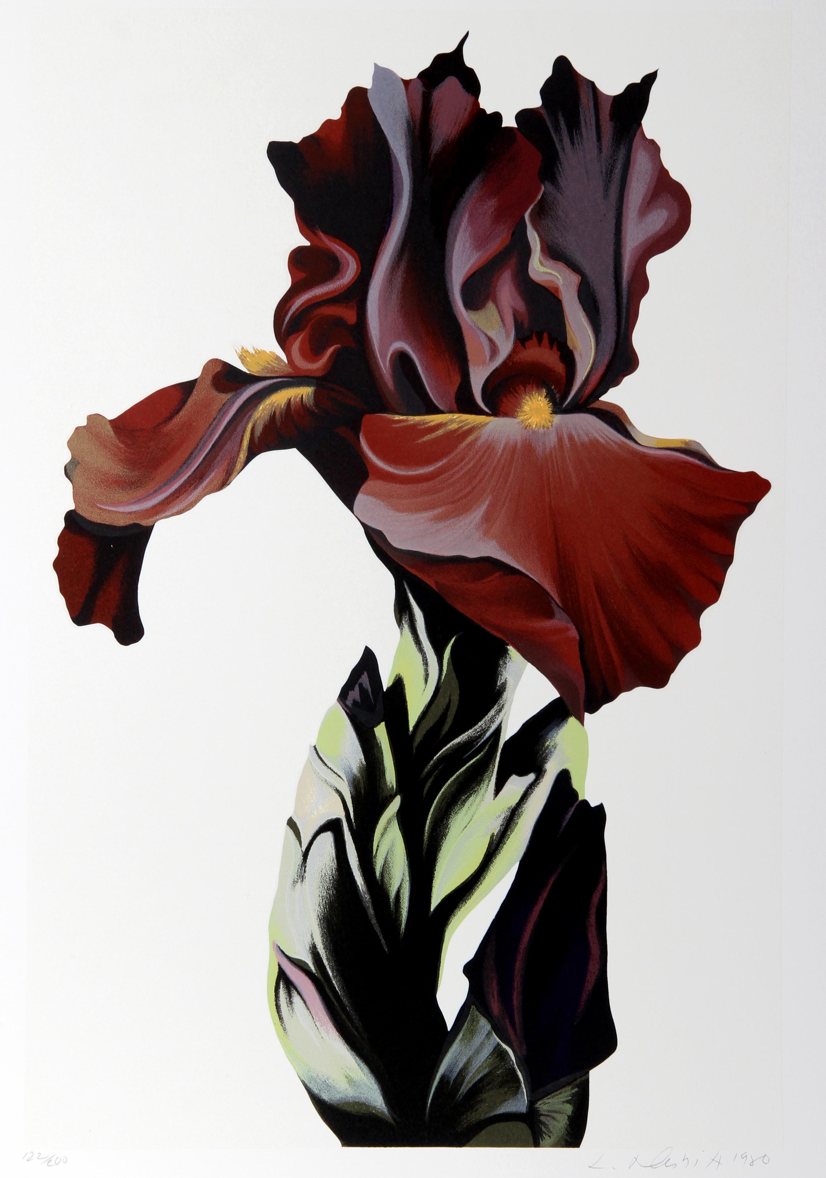 Burgundy Iris, Silkscreen by Lowell Nesbitt