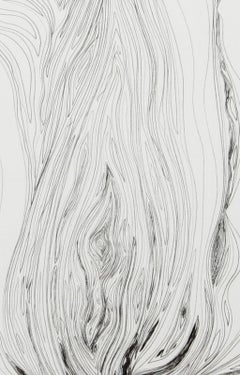 Electric Tulip (Black and White), Photorealist Floral Etching by Lowell Nesbitt