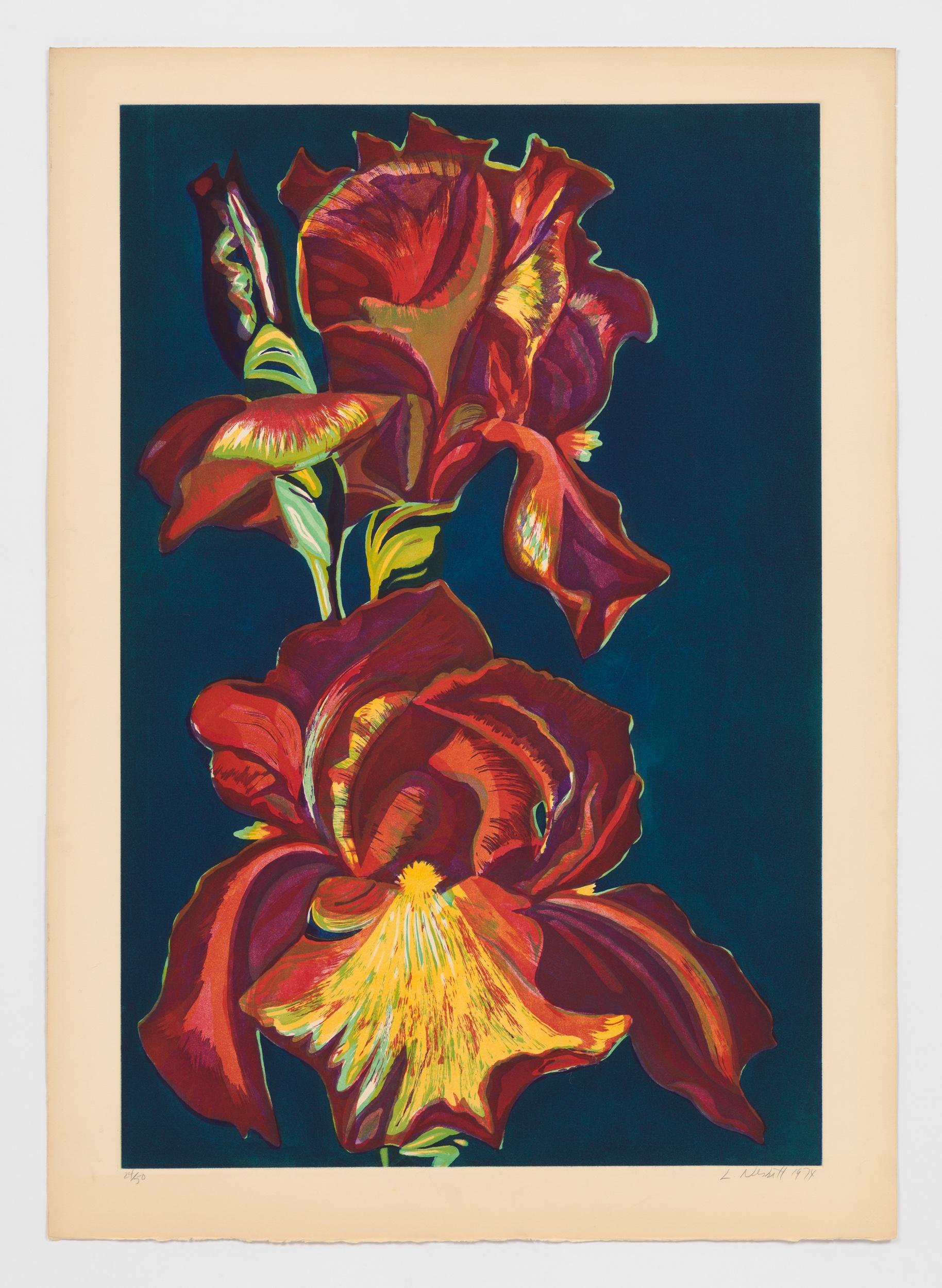 Lowell Nesbitt Landscape Print – Iris