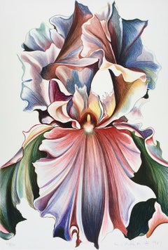 Lithograph Landscape Prints