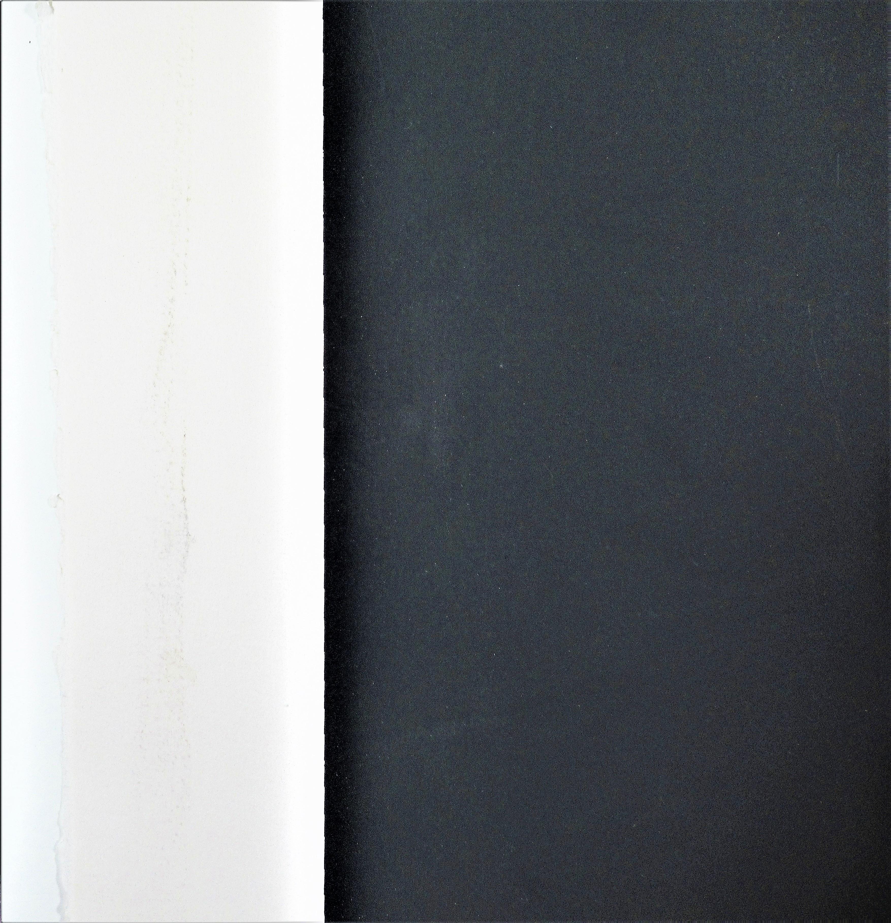 Lily - American Realist Print by Lowell Nesbitt
