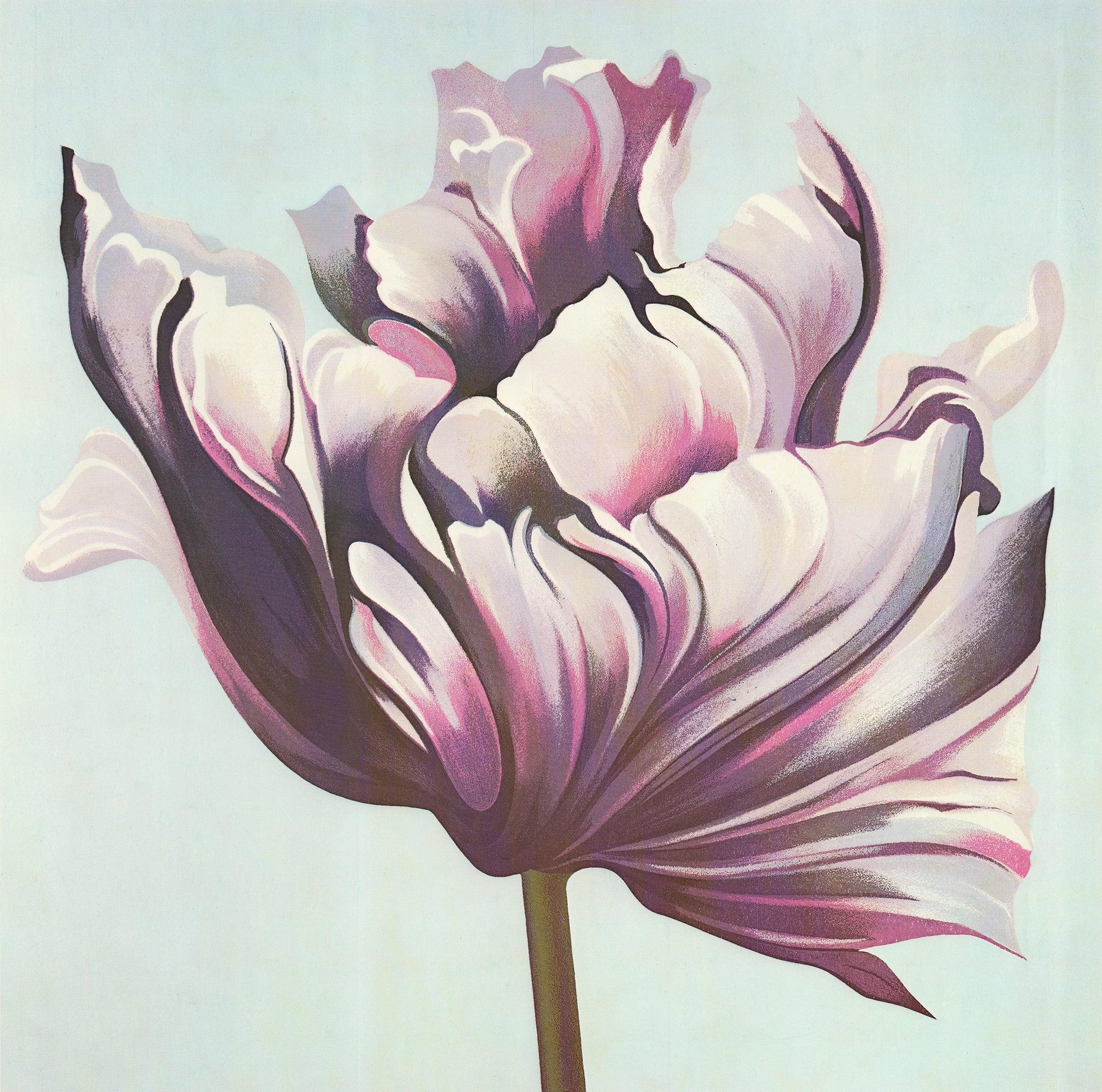 Lowell Nesbitt 'Parrot Tulip on White' 1982- Signed Vintage For Sale 2