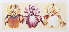 Lowell Nesbitt, Three Irises on Yellow, Screenprint