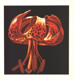 Lowell Nesbitt 'Untitled (Lily)' 1973- Etching- Signed