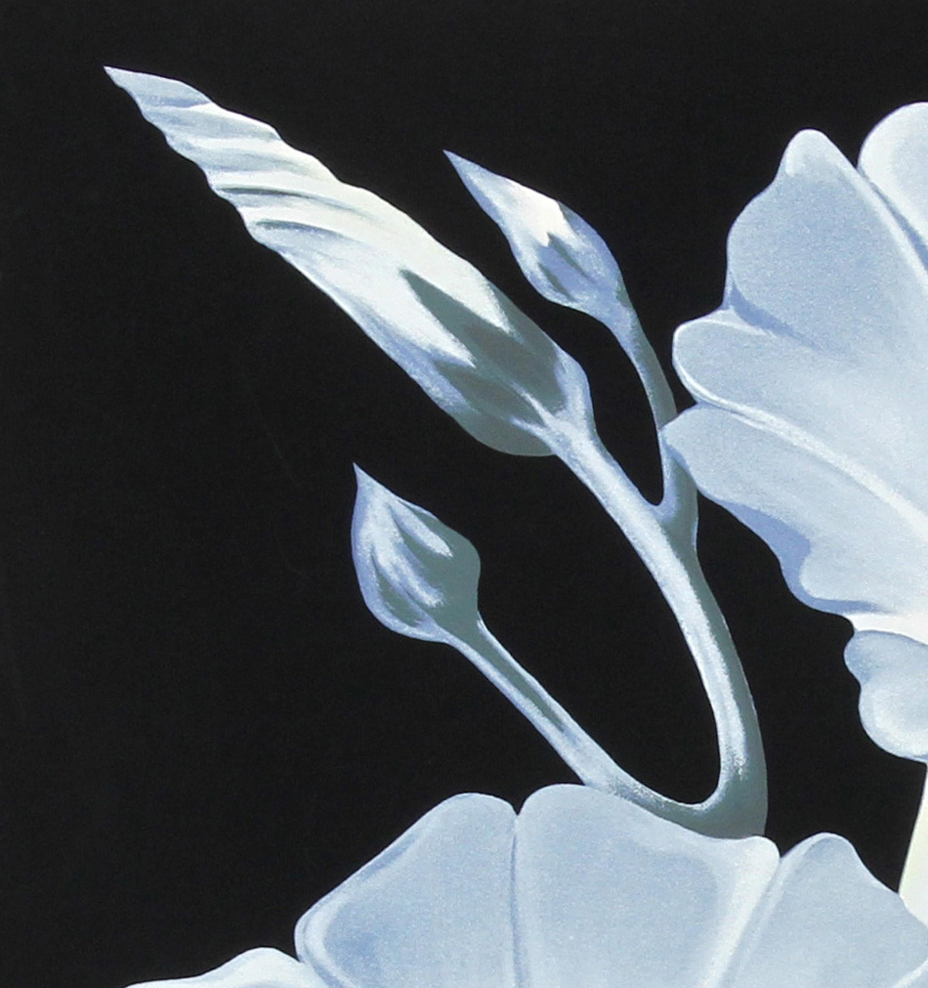 Morning Glories, Photorealist Screenprint on Paper by Lowell Nesbitt For Sale 1