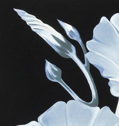 Morning Glories, Photorealist Screenprint on Paper by Lowell Nesbitt