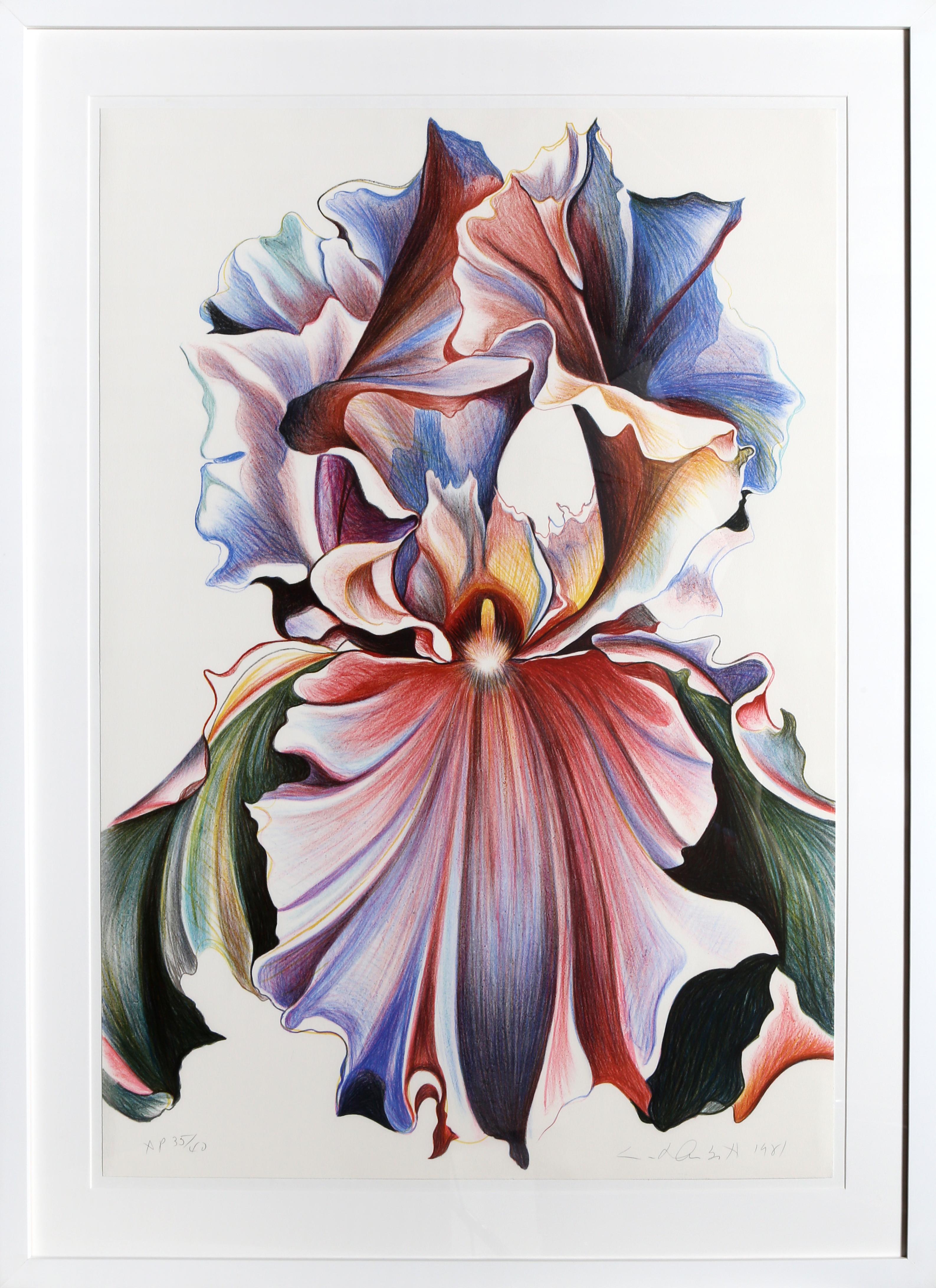 Mehrfarbiger Iris, gerahmter fotorealistischer, geblümter Siebdruck von Lowell Nesbitt
