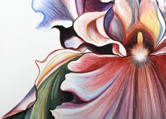 Multicolor Iris, Photorealist Floral Screenprint by Lowell Nesbitt