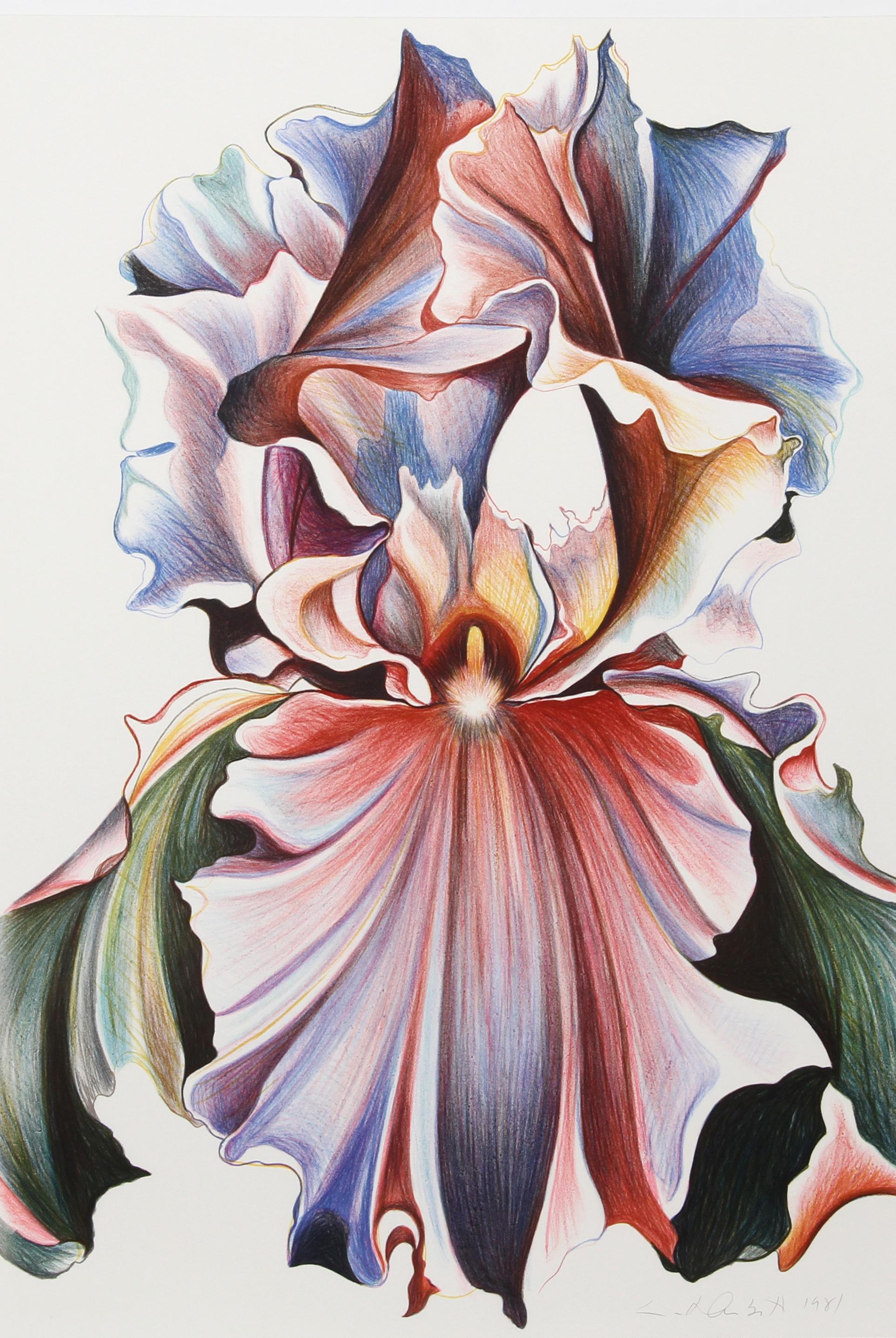 Iris multicolor, serigrafía floral fotorrealista de Lowell Nesbitt
