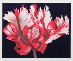 Parrot Tulip II, Signed Photorealistic Floral Screenprint by Lowell Nesbitt