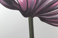 Parrot Tulip III, Photorealist Floral Screenprint by Lowell Nesbitt