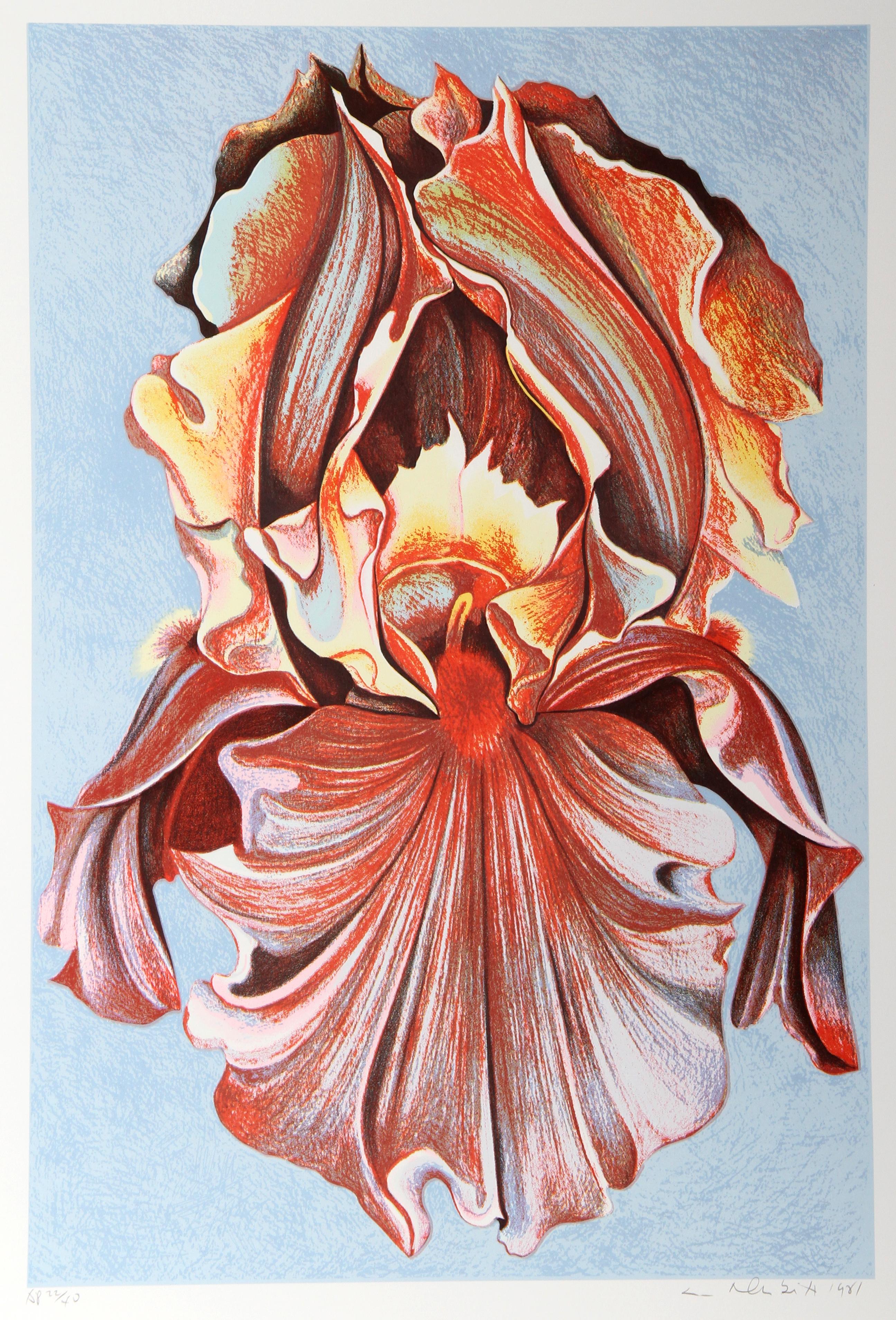 Pink Iris, Photorealist Flower Print by Lowell Nesbitt