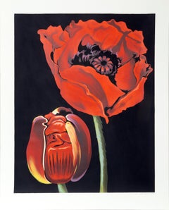 Red Poppies, Photorealist Flower Serigraph by Lowell Nesbitt 