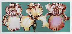 Sérigraphie florale Three Irises on Green de Lowell Nesbitt