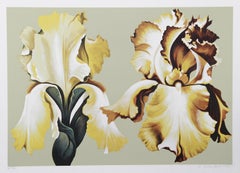 Deux iris jaunes sur sauge